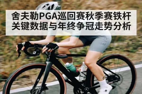 舍夫勒PGA巡回赛秋季赛铁杆关键数据与年终争冠走势分析
